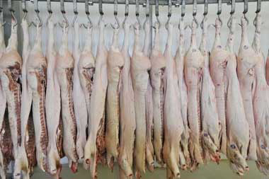 Ukraine pork may replace Brazil in the world market