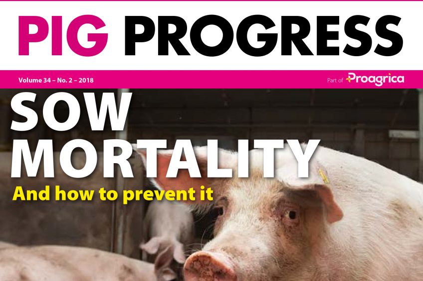 Pig Progress 2 analyses sow mortality issue