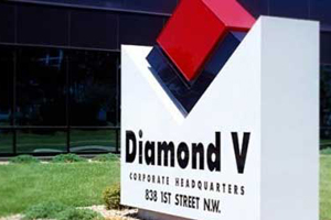 PEOPLE: Diamond V takes on team support coordinator