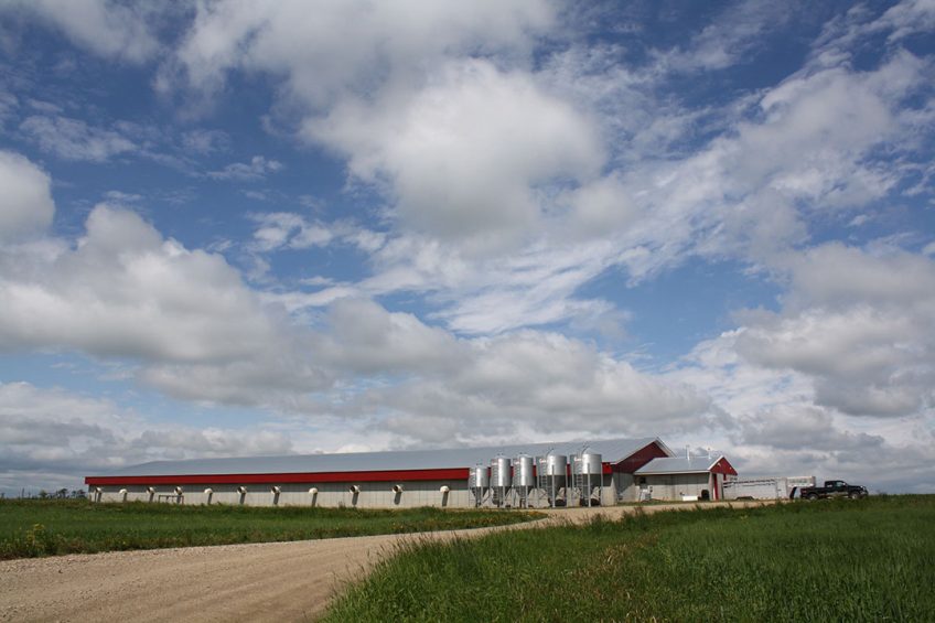 Once upon a time: blue skies above Alberta s pig industry. At the moment, however, Covid-19 gives the country s industry a hard time. - Photo: Vincent ter Beek
