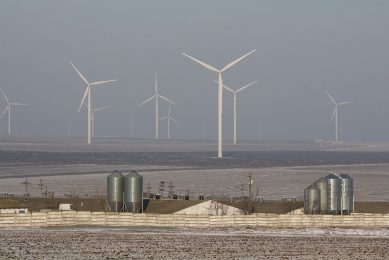 The wind of change blowing in Romania, where wind mills have been placed adjacent to a refurbished swine farm. Photo: Vincent ter Beek