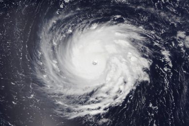 Pigs and hurricanes. Photo: NASA