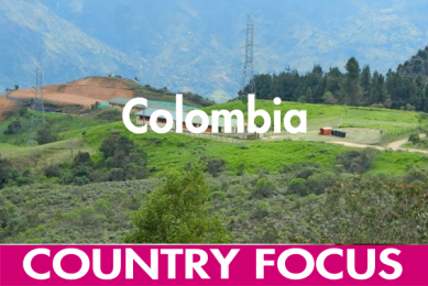 Colombia s pig sector facing challenges