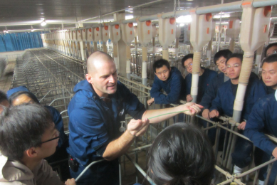 Lance Dunbar, senior consultant at Carthage & MHJ Agritech Consulting, gives instructions and training to Chinese farm staff on post-cervical artificial insemination (PCAI).<em> Photo: Michael Ellermann</em>