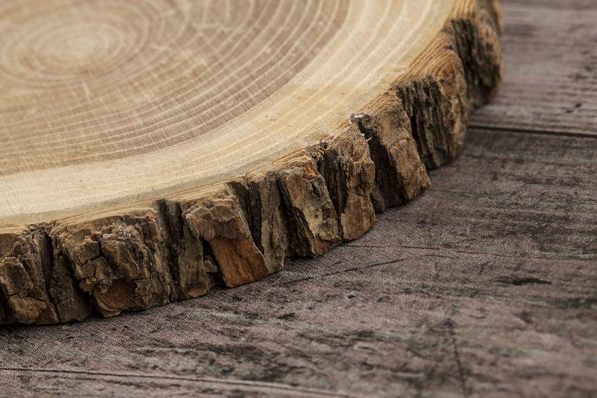 Wood is a natural source of lignocellulose. Photo: Agromed/iStock