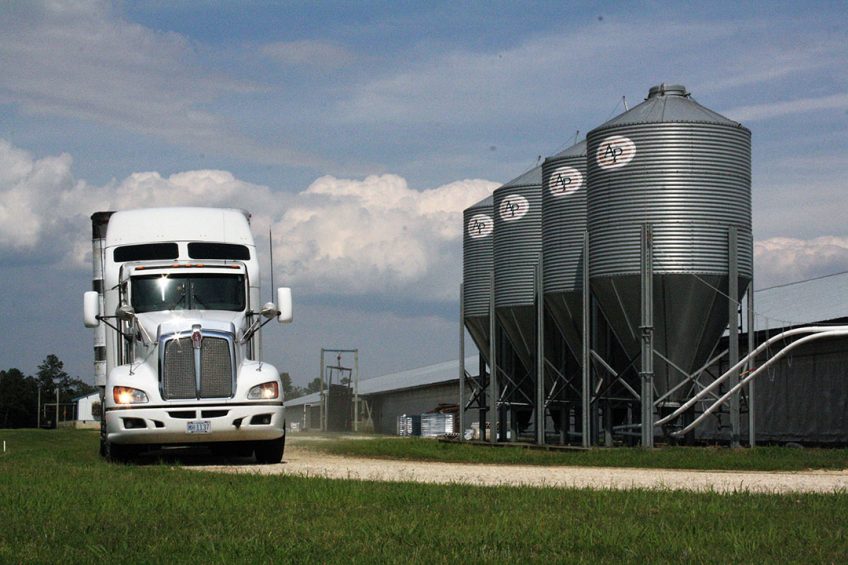 A truck picking up weaner pigs from a farm in North Carolina. - Photo: Vincent ter Beek