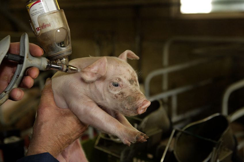 SINDAN president Emilio Salani:  We had problems importing medicines such as ivermectin, abamectin and doramectin, which are important for cattle, and antibiotics for pig and poultry.  - Photo: Henk Riswick