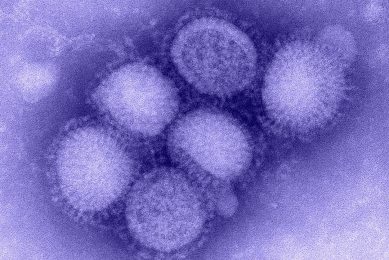 An influenza virus (not the strain discussed in this article) photographed by a microscope. - Foto: Centers for Disease Control (CDC)
