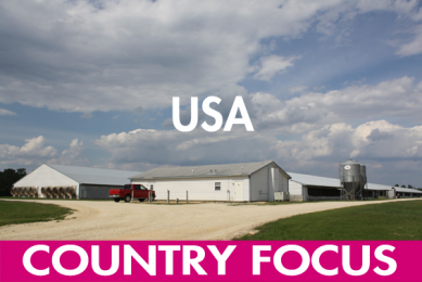 What if the US pig sector embraced its potential?