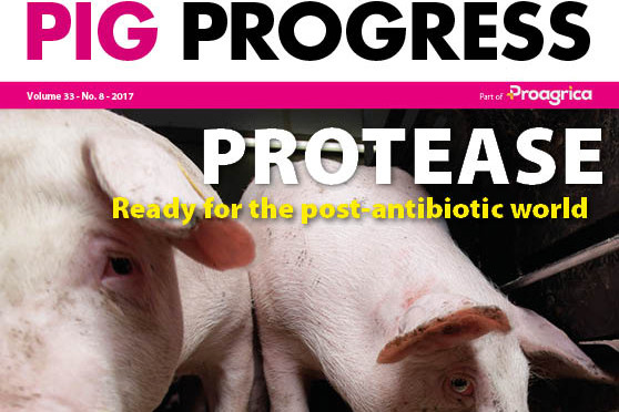 Pig Progress 8 zooms in on alternatives to antibiotics