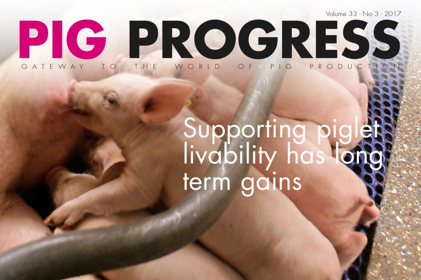 Piglet feeding in latest edition of Pig Progress