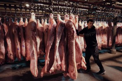 A Chinese worker pushes carcasses in a pork wholesale hall of a market in Beijing, China. Photo: ANP/EPA/Wu Hong