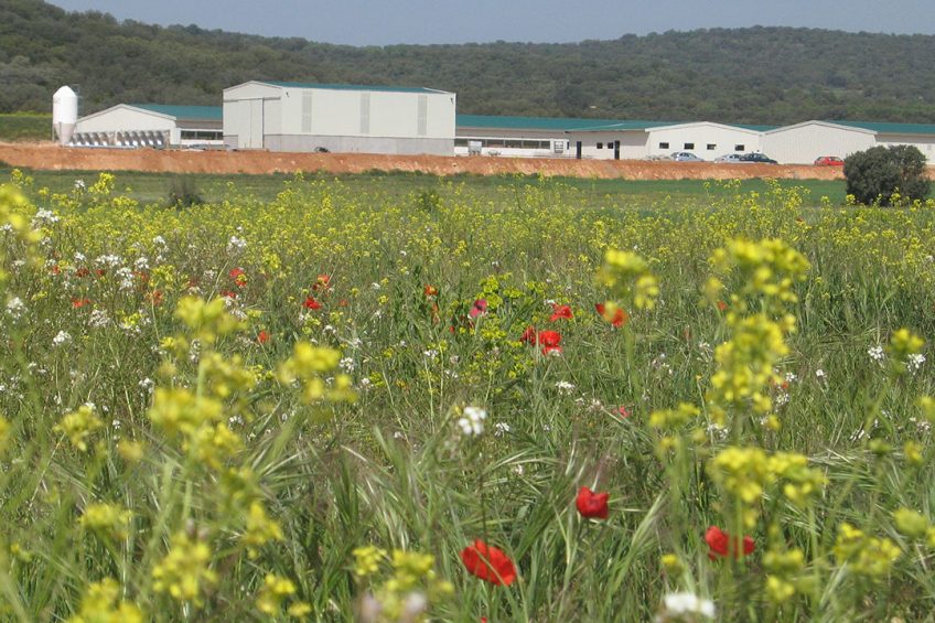 A swine farm north or Balaguer, Lleida province, Catalonia, Spain. - Photo: Vincent ter Beek