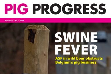 Sugarcane, sows and stanchions in 3rd issue of Pig Progress