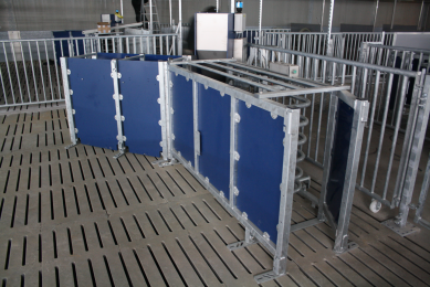 The novel Electronic Sow Feeding system by Roxell at Beel farm.