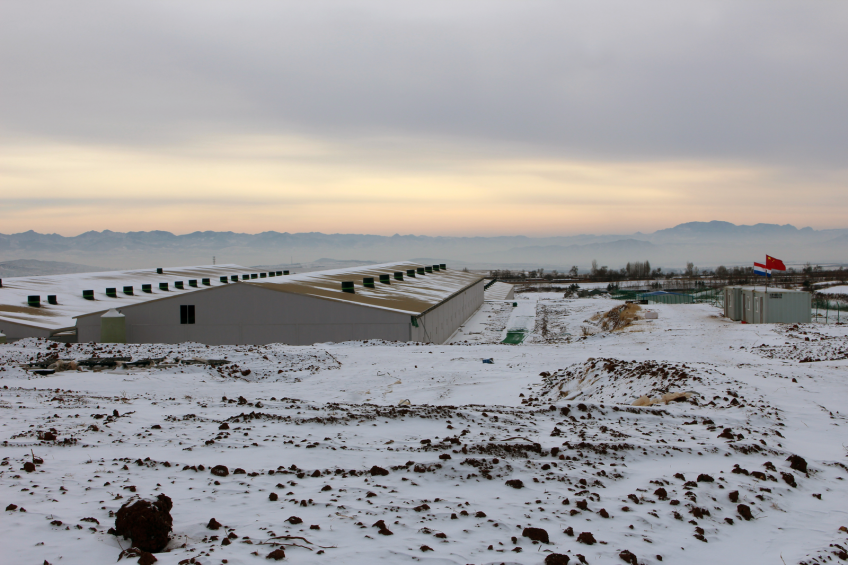 Chaoyang farm under construction   with on the right hand side cabins waving Chinese and Dutch flags. Photo: Vincent ter Beek