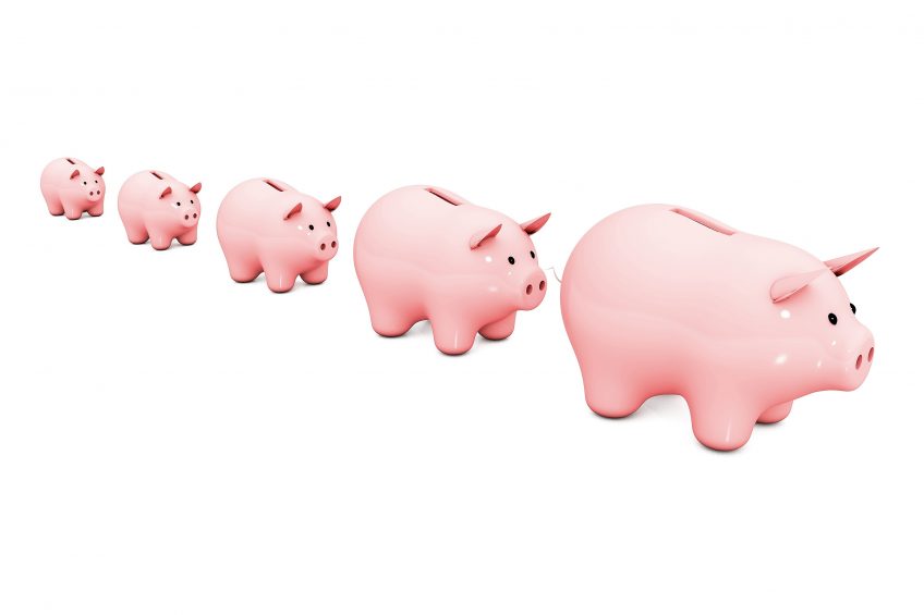 How do effects on piglets pay off at the end of the road? Something worth investigating. Illustration: Dreamstime