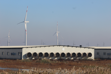 Building a new pig farm&  as planned. Photo: Vincent ter Beek