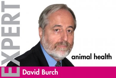 David Burch, Pig Progress