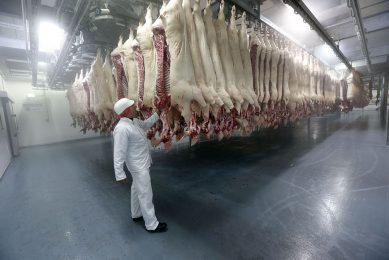 Pork production will drop by 8% in 2020, Rabobank expects. - Photo: Bert Jansen