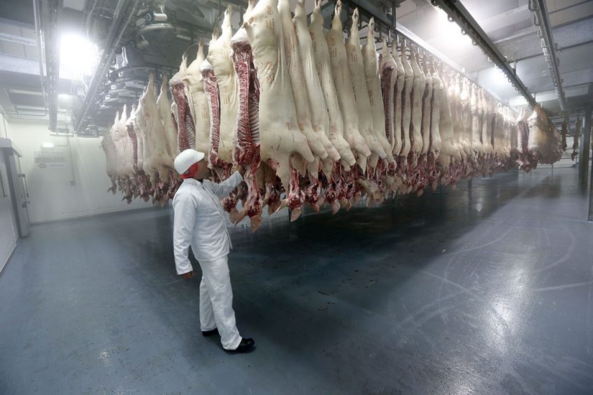 Pork production will drop by 8% in 2020, Rabobank expects. - Photo: Bert Jansen