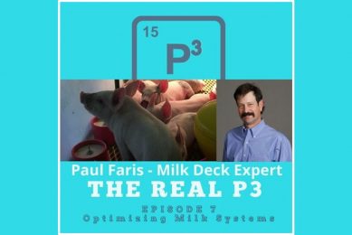 Podcast: Optimising milk systems in lactation