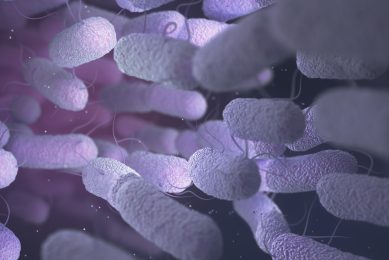 AGP benefits ensured by Bacillus subtilis. Photo: Ktsdesign