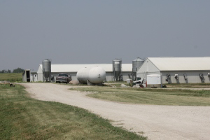 Iowan hog farm&apos;s move to Bayfield meets opposition