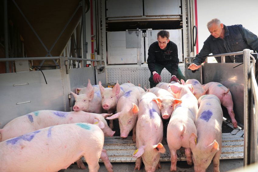 New animals arriving on a farm pose a high risk for disease contamination. Photo: Dave Hendriks