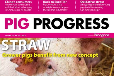 Straw, stress and sensors in 10th issue of Pig Progress