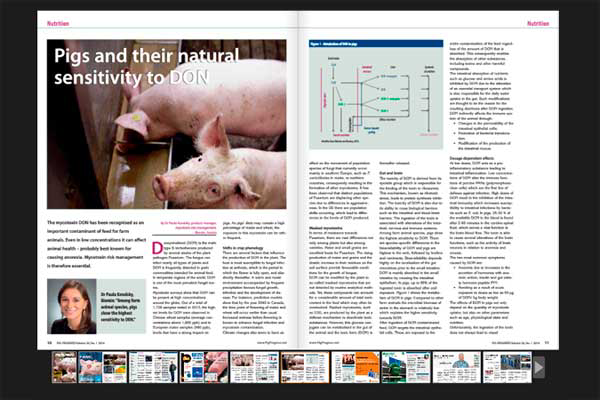 Pig Progress magazine: Latest issue now online