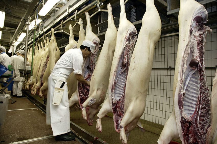 Employees in a slaughterhouse often have to work fairly close together, which could encourage virus spread. - Photo: Hans Prinsen