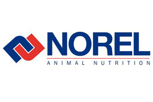 People: Norel appoints new area manager