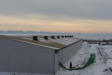 In the long run, the sun is shining for China's pig industry. Picture taken at a pig production project in Liaoning province. - Photo: Vincent ter Beek