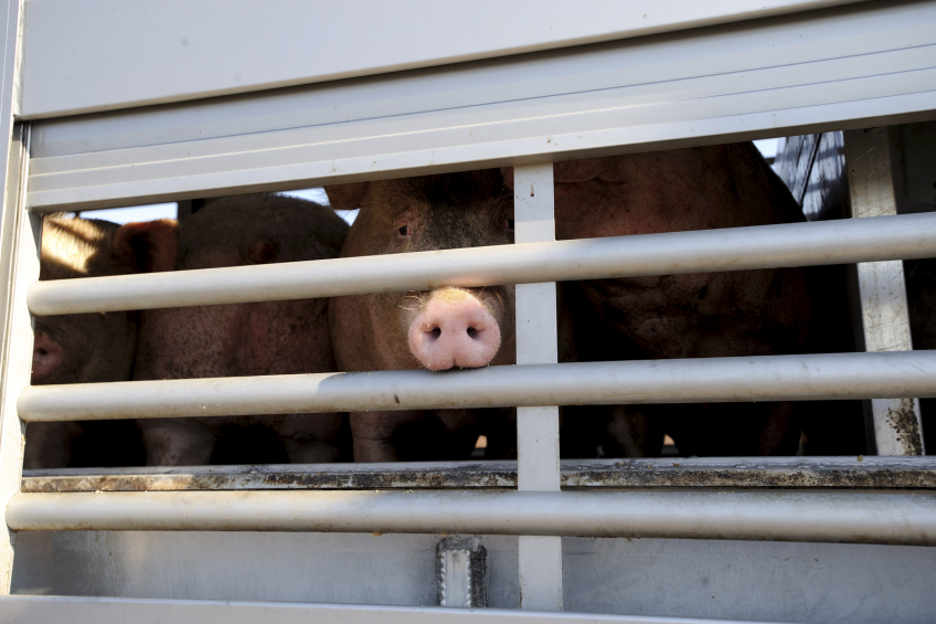US legislation ensures reporting of pork prices