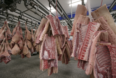 Spanish pig farmers push for EU investigation