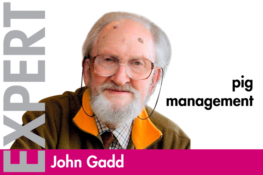 John Gadd, Pig Management