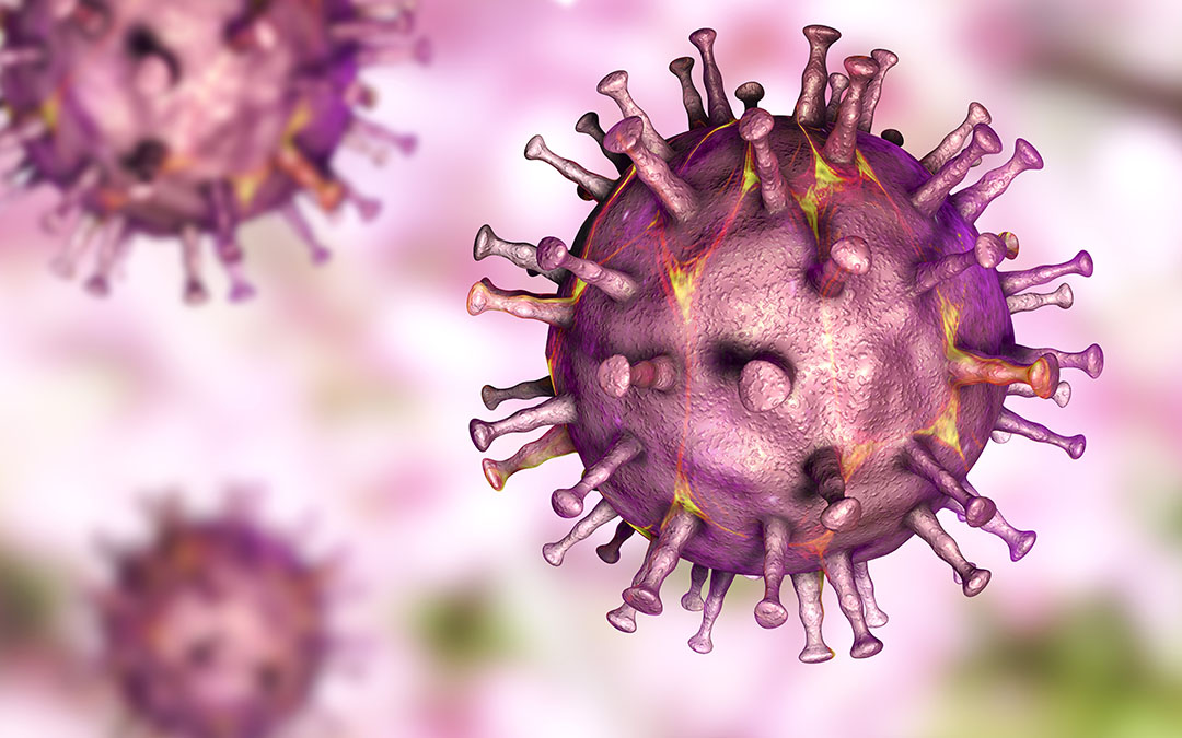 Vietnam develops an ASF vaccine. What is the context? - Pig Progress