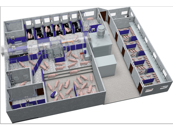 Pig Production 2030   this model has been the basis for the EuroTier presentation as well as the Ahlers production site (see next page). Gestation can be found at the bottom, breeding at the top end, insemination to the left and growing to the right.