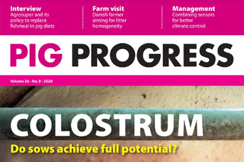Colostrum, cameras and construction in Pig Progress 9