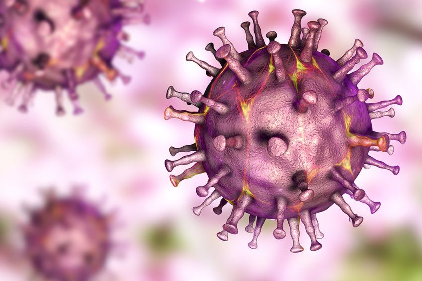 Artist's impression of African Swine Fever virus. Illustration: Shutterstock