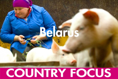 Belarus: Is there life after the ASF epidemic?