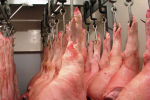 Job losses at two British pork plants