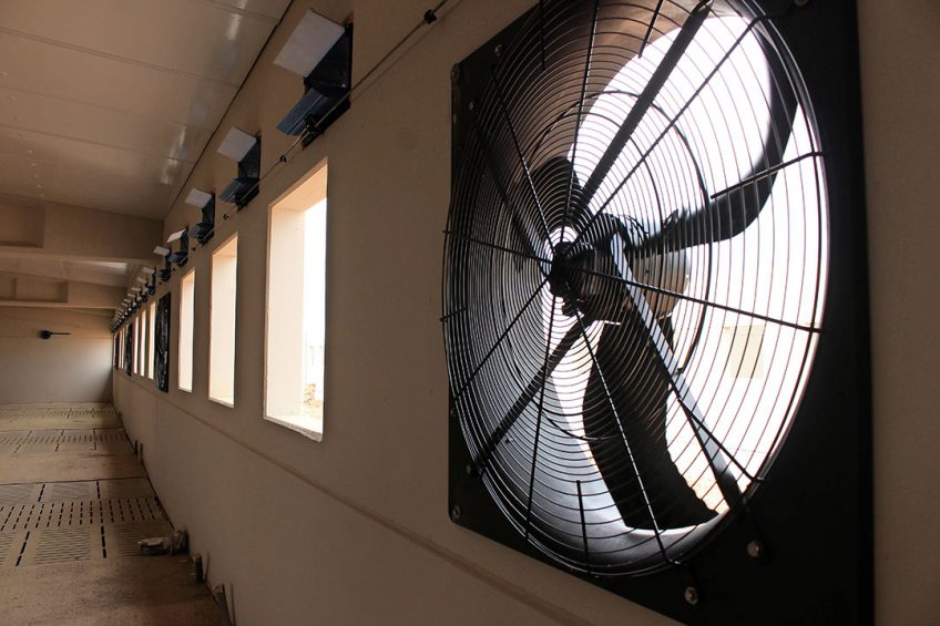 A fan in a swine farm under construction in northern Spain. Photo: Vincent ter Beek