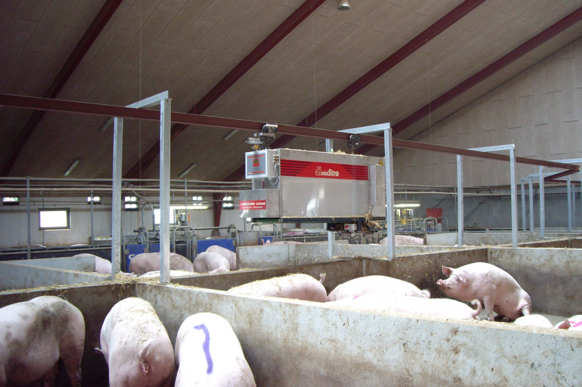 Automatic on-rail feeding mixer system for sows