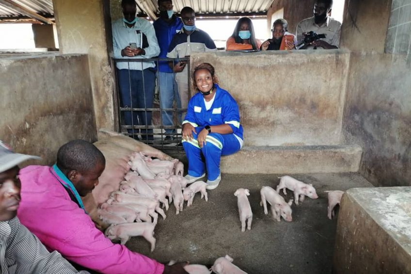 Pride as a new African record was set at 31 piglets/sow/year. - Photo: Kimberley Nyatanga