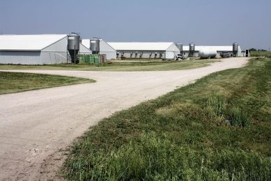 A swine facility in northern Iowa, USA. - Photo: Vincent ter Beek