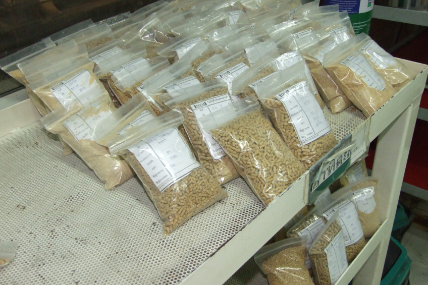 Several differently sized pellets waiting for testing in a feed mill laboratory.