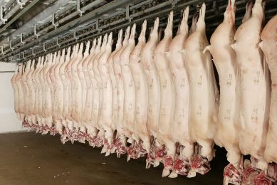The USA exported the most pork to China in the first 5 months of 2020. - Photo: Henk Riswick