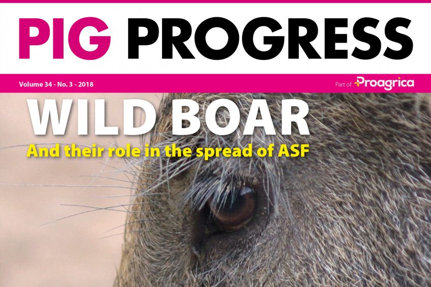 Pig Progress 3: Focus on health and piglets